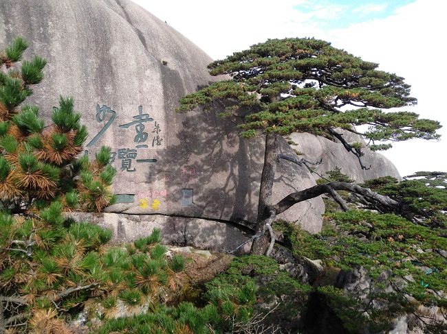 日登黃山，夜醉溫泉！